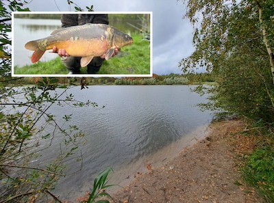 Hoe karpers verdwijnen en arbeidsmigranten vaak onterecht de schuld krijgen