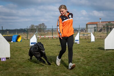Amy (13) en herdershond A-Jay gaan naar WK in Griekenland: ‘Elke week een paar keer op de loopband’