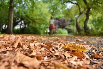 Zon of regen? Dit is de weersverwachting voor oktober in Eindhoven
