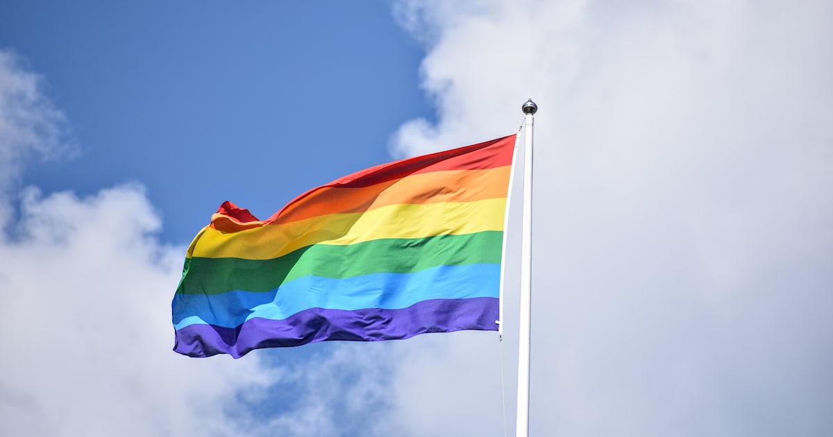 Gemeente Gilze en Rijen hijst regenboogvlag bij gemeentehuis | Regio ...