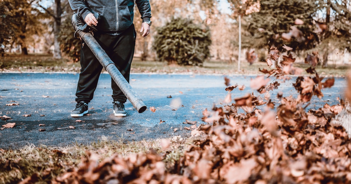 Hilvarenbeek plaatst deze week weer bladkorven op vaste plekken