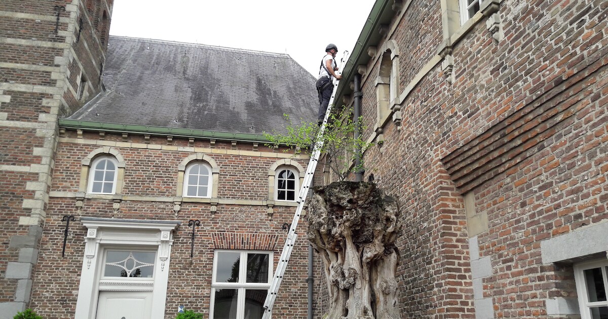 sint-oedenrode-praat-over-toekomst-raadhuis-meierijstad-regio-bd-nl