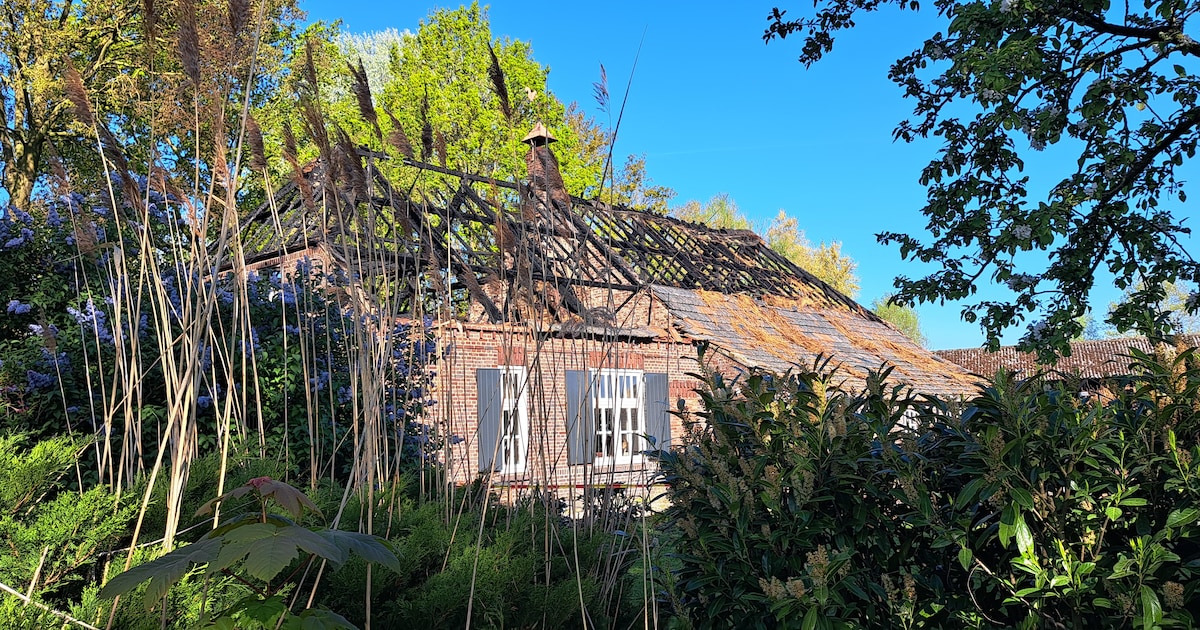 In Zeeland resteren alleen zwartgeblakerde resten; felle brand verwoest woonboerderij