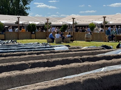 Asperges recht van het veld zo op je bord: culinair evenement viert tienjarig jubileum in Cromvoirt