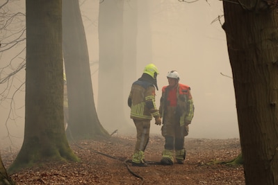Brandweer waarschuwt: bosbranden in Brabant-Noord nemen fors toe door klimaatverandering