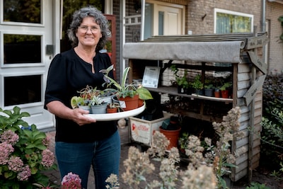 De plantenbieb in de tuin van Francien (61) draait op vertrouwen: ‘Het kastje is nog nooit leeggehaald’