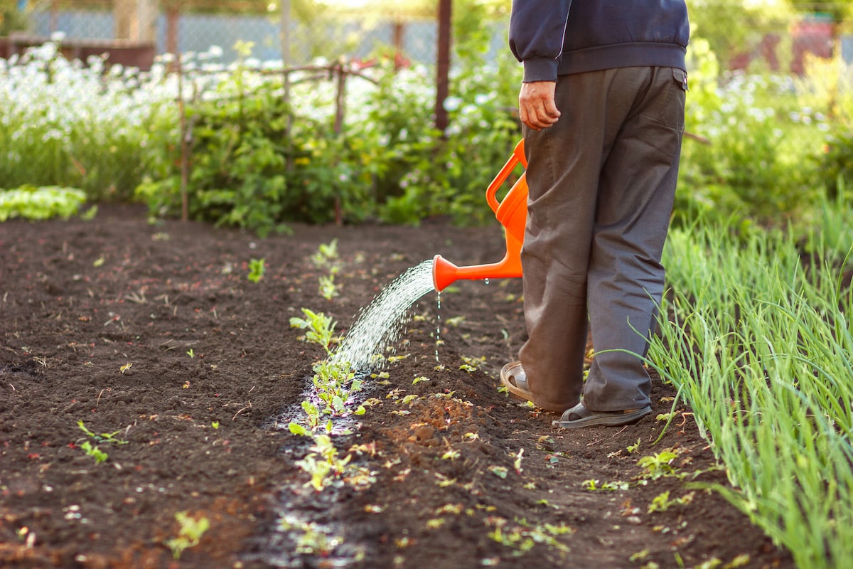 Autisme Expertise Zorgboerderij uit Riel viert 20-jarig jubileum met open dag