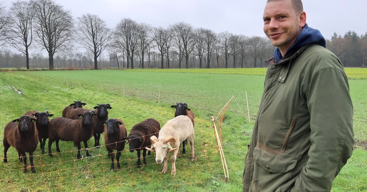 Kom kijken bij De Kraanvogel in Esbeek: open dag met bijzondere activiteiten