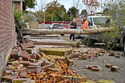 Zeker 15 schademeldingen na storm Benjamin in Brabant: ‘Volgende week verwachten we er meer’