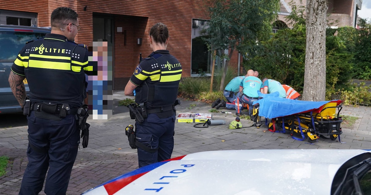 Arbeidsinspectie onderzoekt ongeluk in Vught na aanval door Aziatische hoornaars: medewerker zwaarge