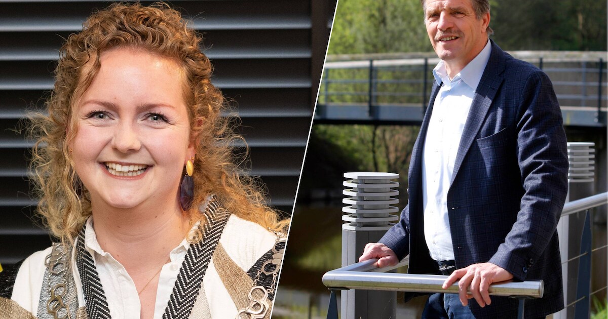 Lucht filter voor Wolf-Garten A 4200 / A 4600 A | Gras maaier bladen enzo