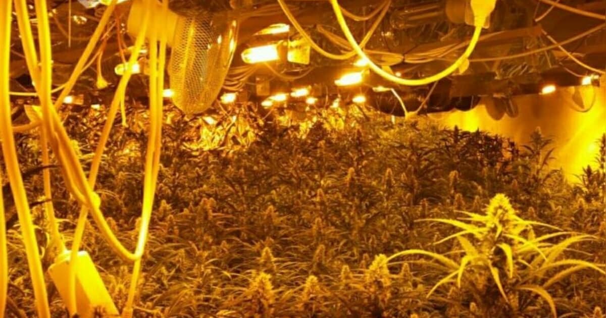Drie jaar cel voor eigenaar drugslab in Heeswijk-Dinther