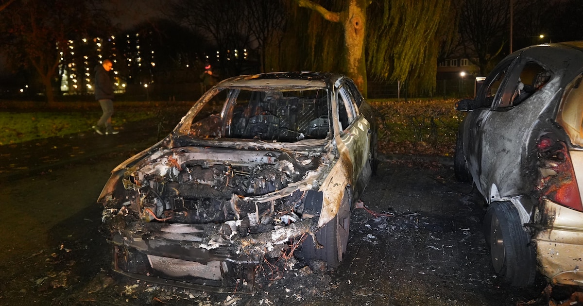 Twee auto’s zwaar beschadigd door verdachte brand in Den Bosch, rook waait richting flat