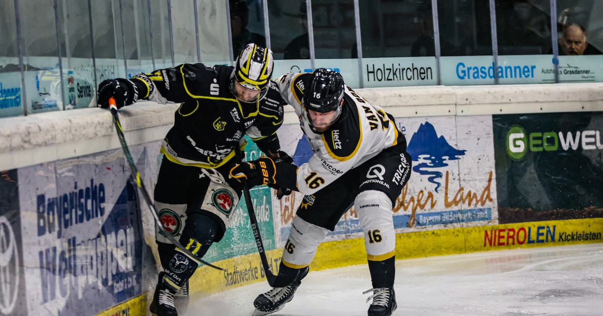 Lowen Play Bad Kreuznach
