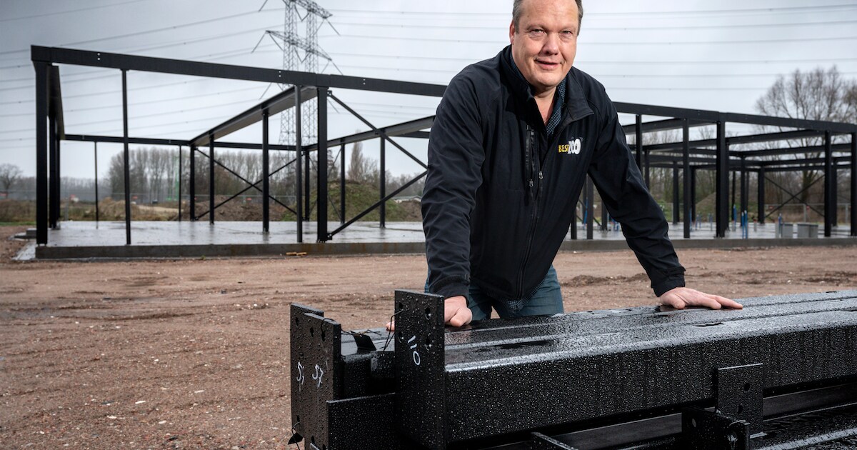 Zoektocht naar giraffen begonnen voor BestZoo: ‘langnekken’ straks publiekstrekker bij nieuwbouw