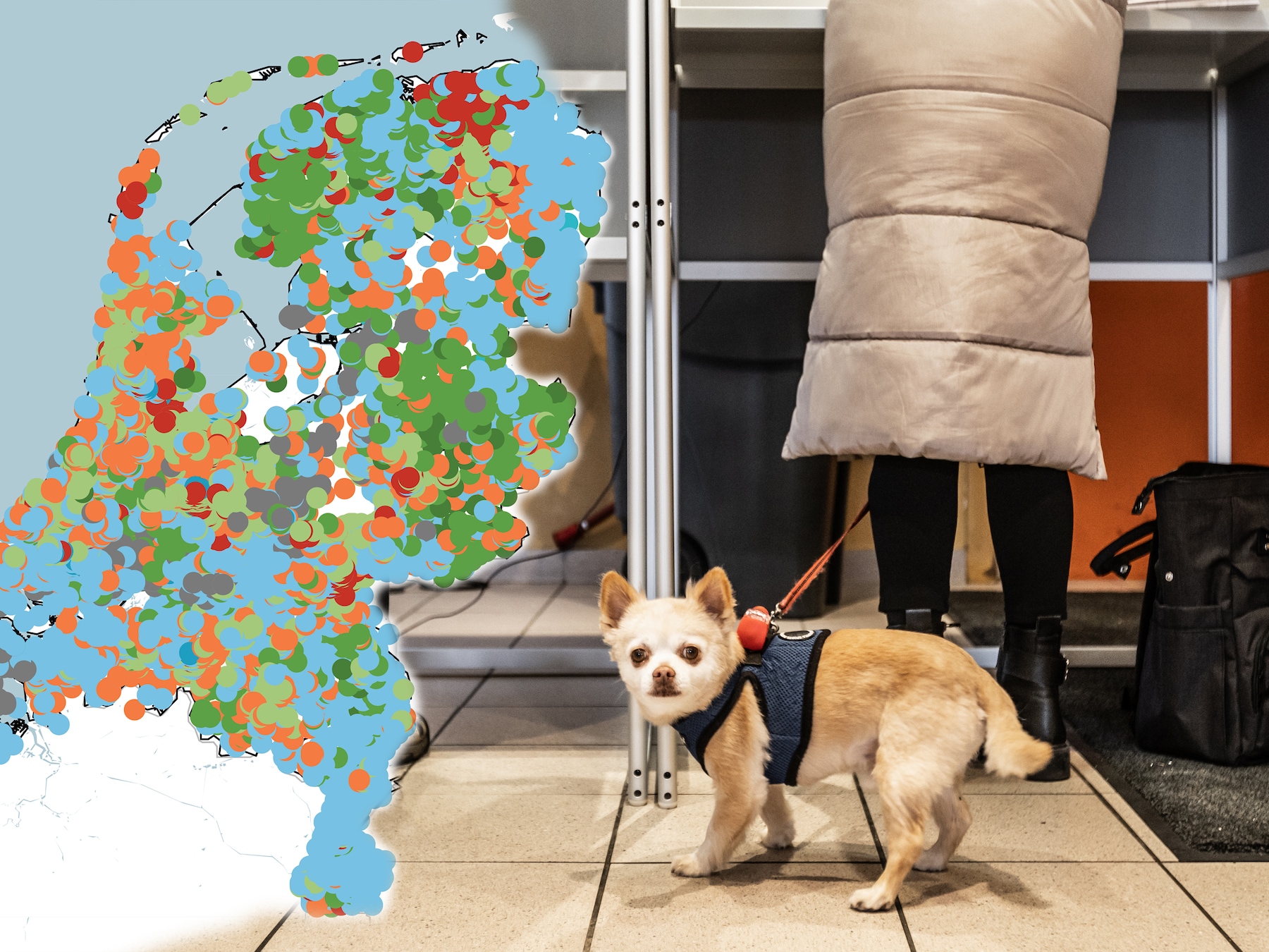 Stembureaucijfers onthullen geheim van D66, en nog vier opvallende feitjes