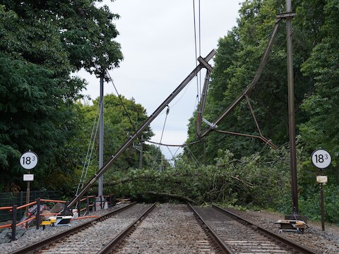 Begin september viel ter hoogte van de Bréautélaan in Vught een boom op het spoor en zorgde voor flink wat schade.