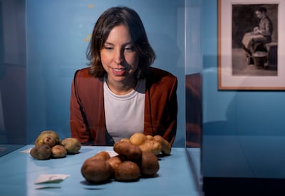 Noordbrabants Museum viert met Van Gogh en de aardappel 140 jaar ‘De aardappeleters’