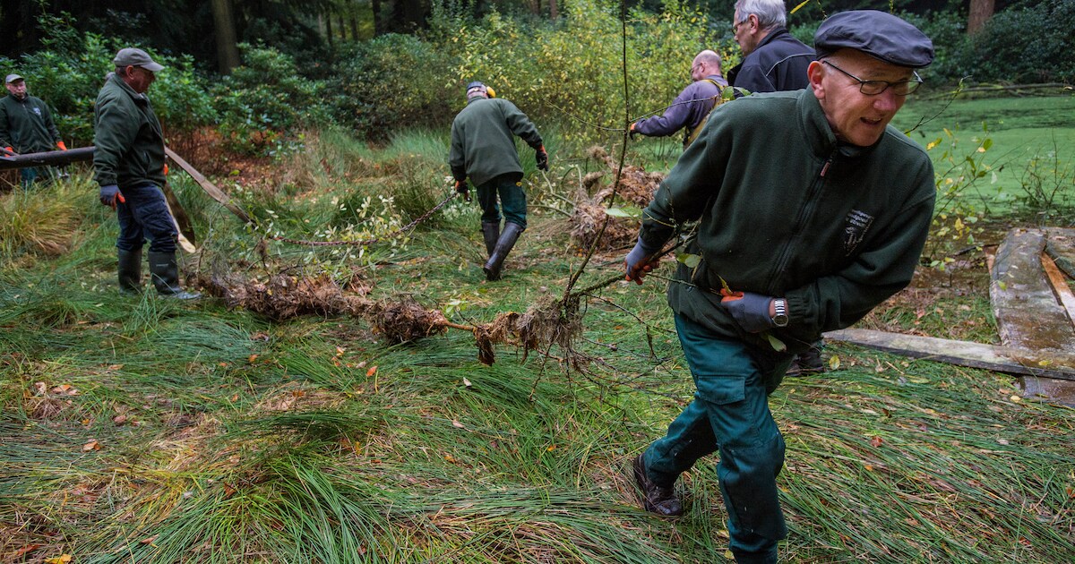 Werken op de De Utrecht bij Esbeek is genieten; wachtlijst voor vrijwilligers De Bonte Specht