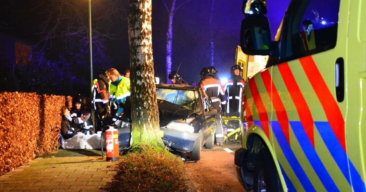 Auto botst op boom in Berkel-Enschot
