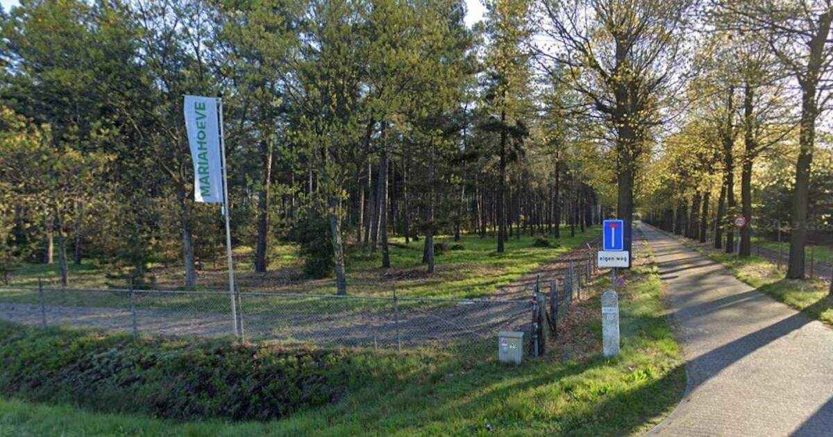 150 Oekraïense vluchtelingen op landgoed Mariahoeve tussen Leende en ...