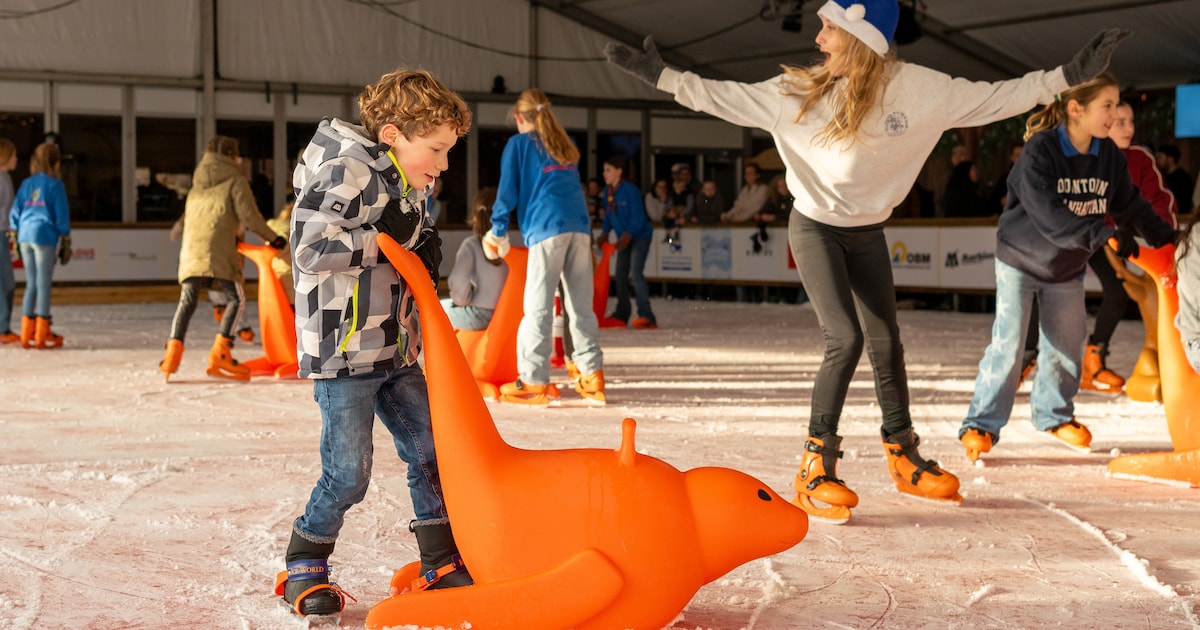 Van ‘alleen een kerstboom’ naar een complete ijsbaan: heel Waalwijk helpt mee
