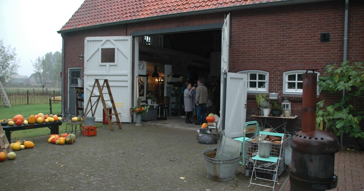 Veel belangstelling in Heesbeen voor brocantemarkt