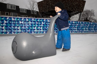 Hoe Best van twee mogelijke schaatsbanen naar helemaal geen schaatsbaan ging