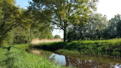 Bijna 3.000 soorten planten en dieren gespot in beekdal Kleine Dommel