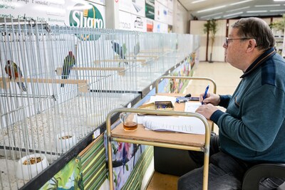 Niets lijkt keurmeesters te ontgaan in grote vogelkeuring