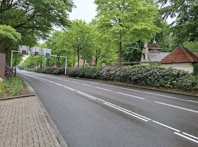 Loon op Zand snoeit zieke rododendrons aan Europalaan in Kaatsheuvel door plantenziekte