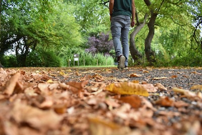 Leuke dingen doen tijdens de herfstvakantie? Dit is de weersverwachting in Tilburg