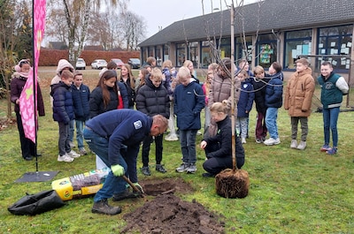 Het begint met een appelboom, het wordt een moestuin: project voor scholen in Helmond