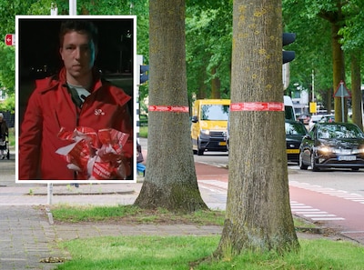 Raadslid haalt linten van kapbomen, burgemeester o