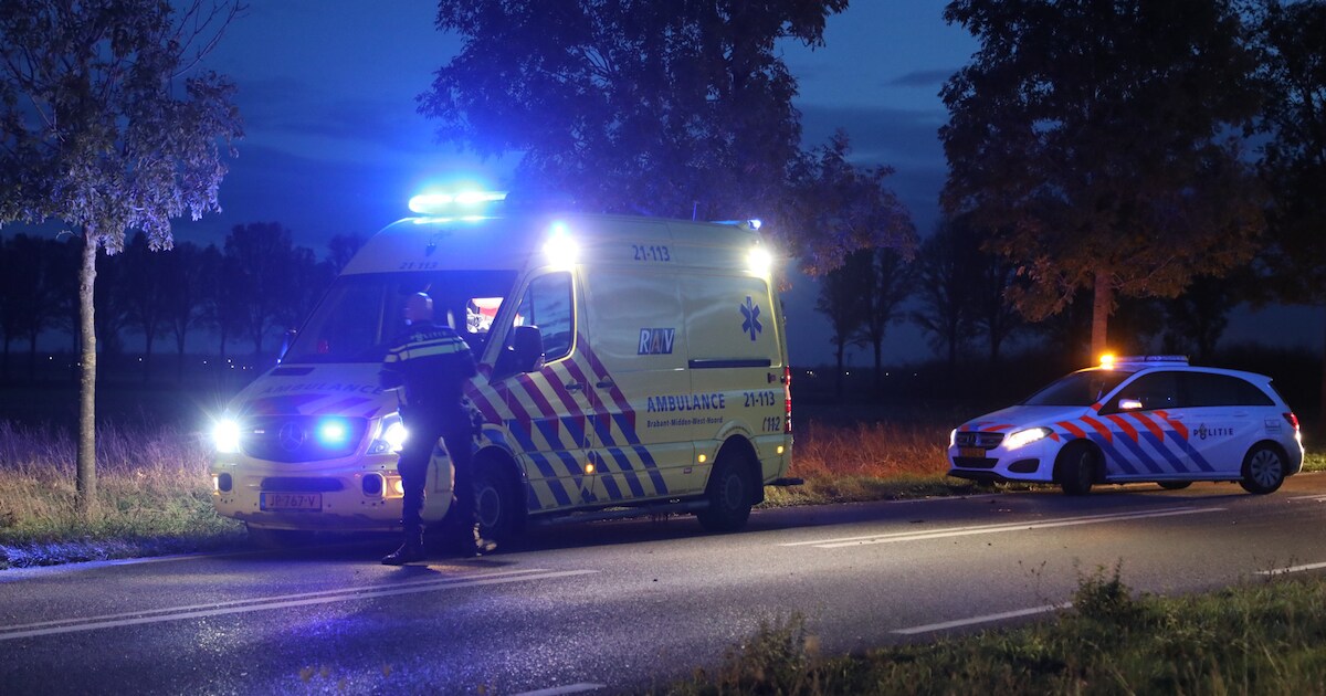 Osse jager struikelt en schiet Nulandse maat door been