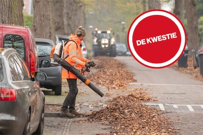 Discussie over de herrie van de herfst: ‘Een bladblazer blijft onmisbaar tegen vallend blad’ en ‘Weg