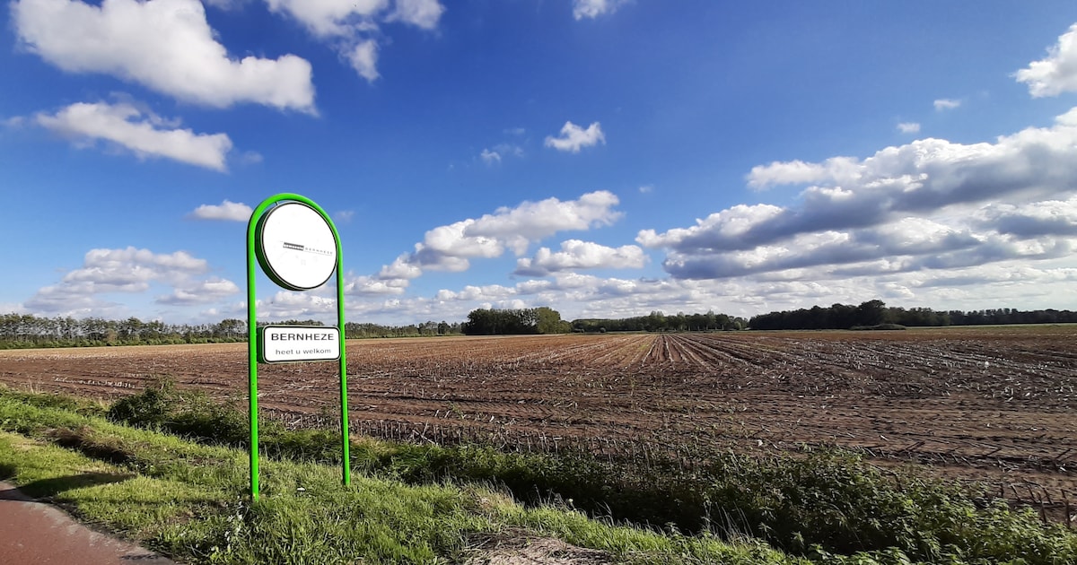 Minder ruimte voor zware industrie op Heesch-West | Regio | BD.nl