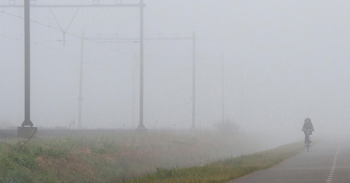 Opklaringen en lokaal nevel of mist in Maasdriel in de nacht