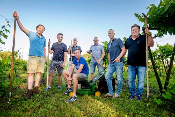 Zeven vrienden wekken Wijngaard Steenvoorde weer tot leven | Regio | BD.nl