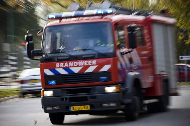 Ruim 18.000 kippen dood na brand Mosstraat Rijen | Regio | BD.nl