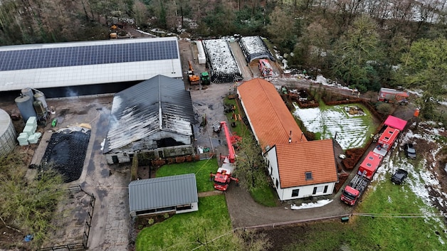 Brand breekt uit in stal bij boerenbedrijf in Moergestel, alle koeien ...