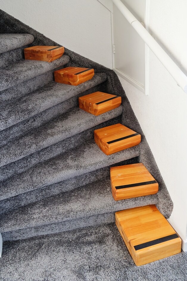 Robotpoes, pratende plant en traphulp: snufjes met én zonder stekker ...