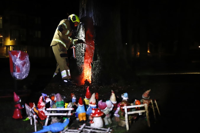 Brandweer blust brand in holle kabouterboom terwijl ‘buurtbewoners ...