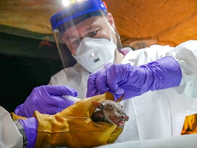 Nederlandse viroloog in VS aangeklaagd voor invoer mpox-virus