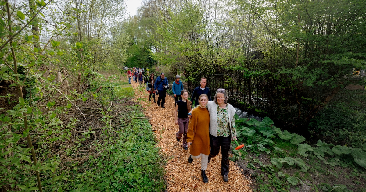 Hoe Plaats De Kleine Aarde weer tot bloei komt: van vergeten terrein naar groene hub voor de voedsel