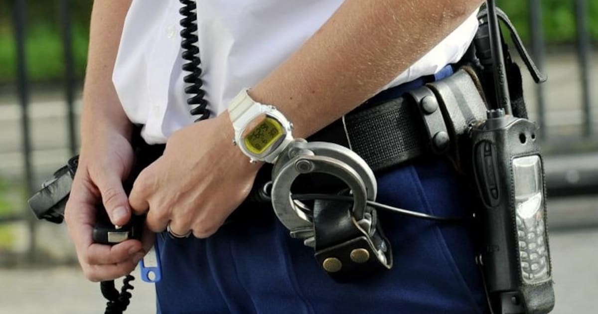 Inbreker Odiliapeel snel gepakt