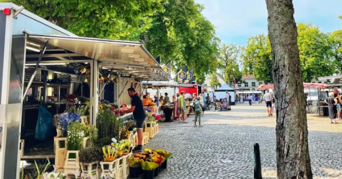 Weekmarkt Oirschot verhuist tijdelijk naar parkeerplaats bij Joris Zorg