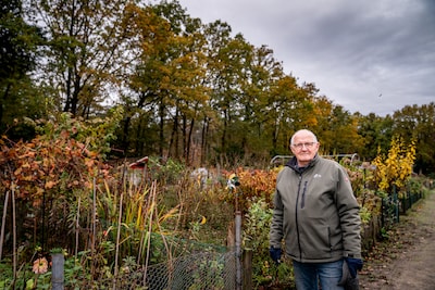 De buurvrouw zou honderden bomen kappen, maar zij zegt alleen haar erfgrens te willen bewaken: ‘Ze h