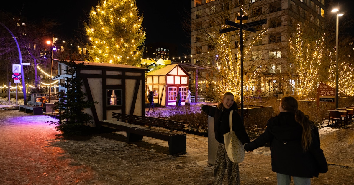 Bossche verhalen die verteld worden in Het Zuiderlicht: ‘Dit is sprookjesachtig mooi om te zien’