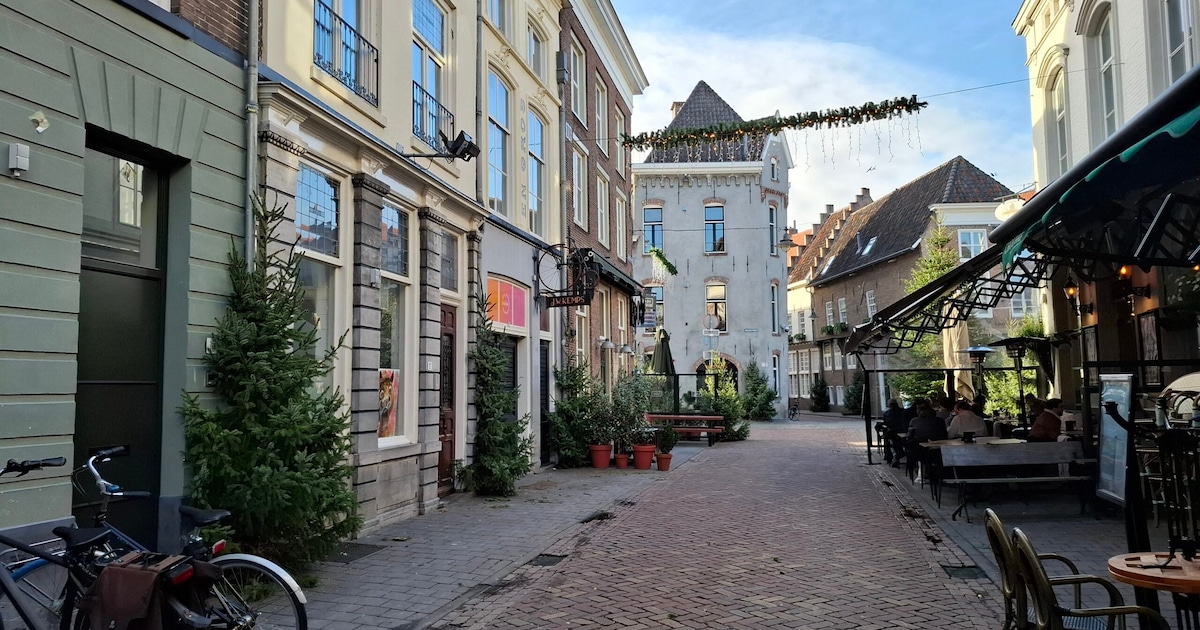 Kerstmarkt, braderie en meer: 6 x hier in Den Bosch kun je terecht voor kerstvibes